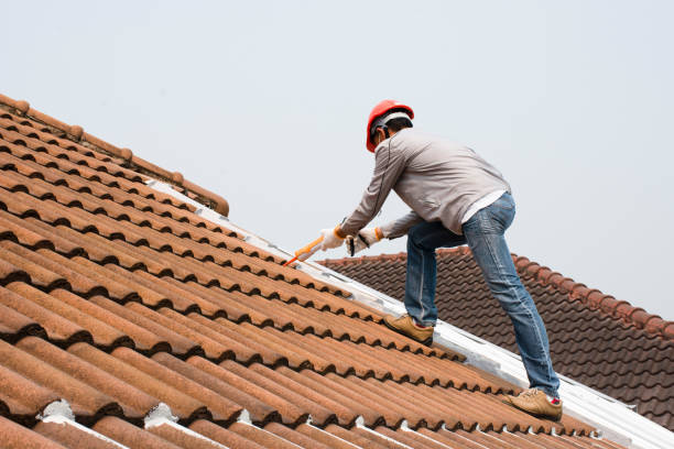 Roof Insulation in Tazewell, TN